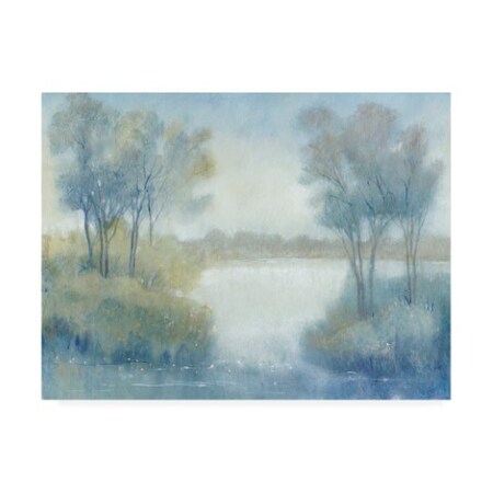 Tim Otoole 'Morning At The Pond I' Canvas Art,14x19